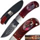 Deadly Spider Knife w/ Insect Trapped in Handle 7.5 in